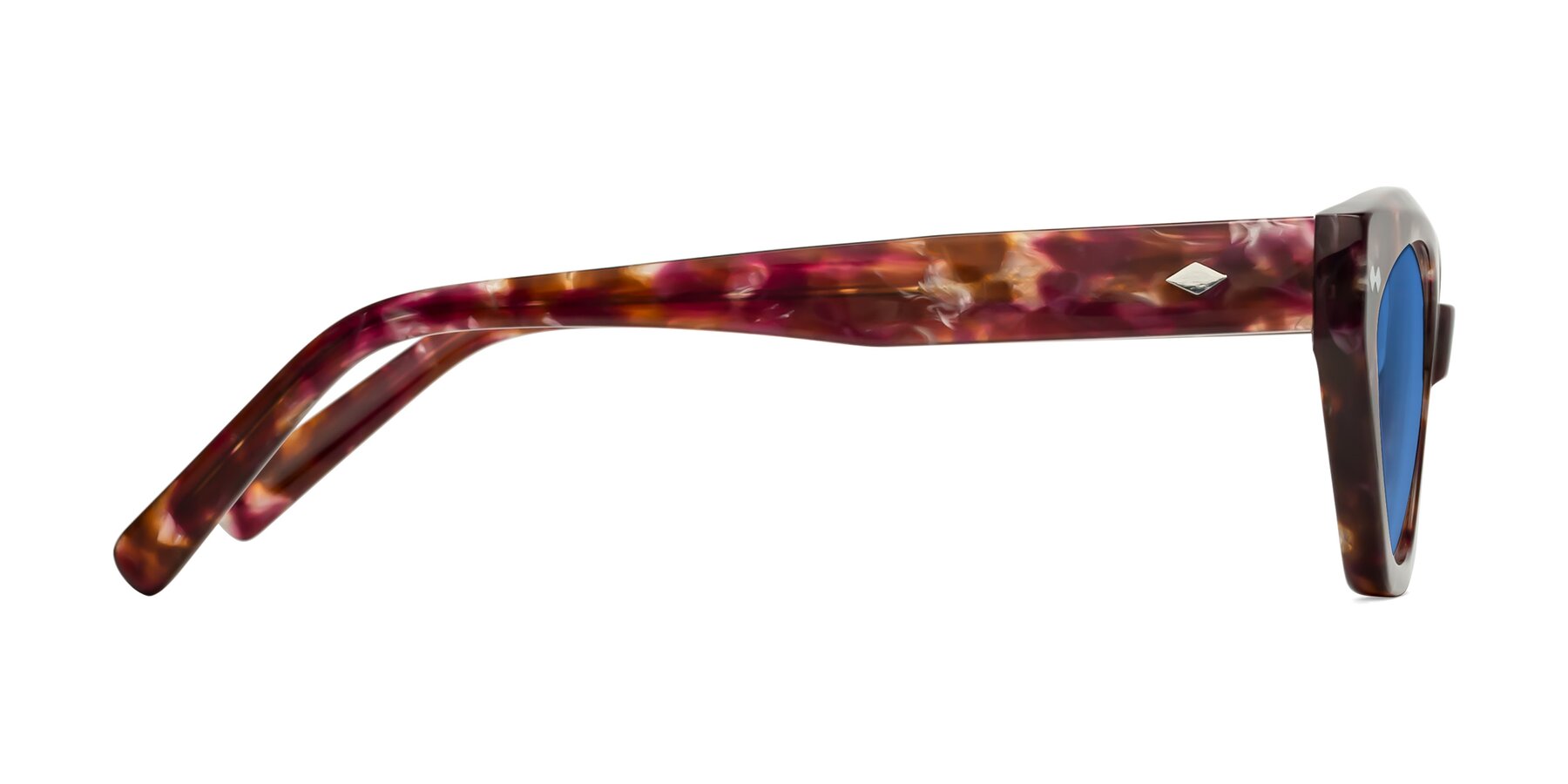 Side of Delphi in Plum Tortoise with Blue Tinted Lenses