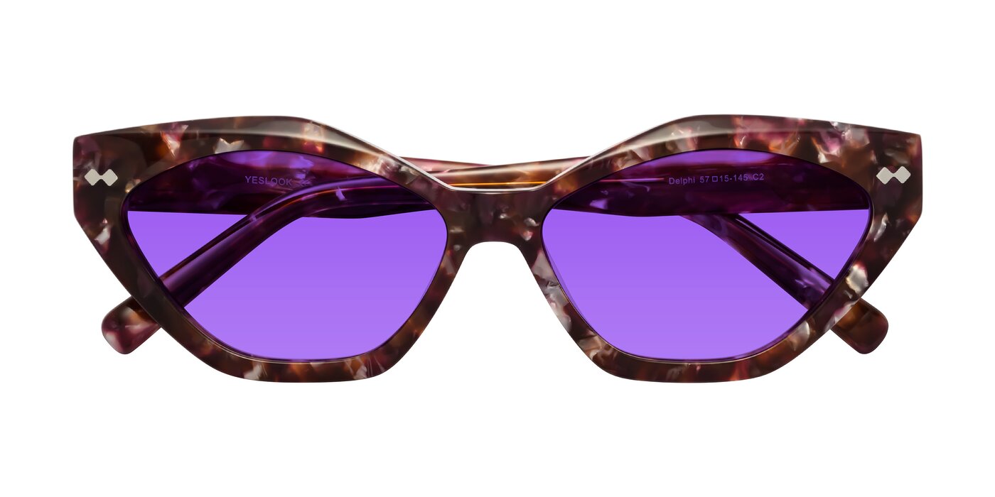 Delphi - Plum Tortoise Tinted Sunglasses