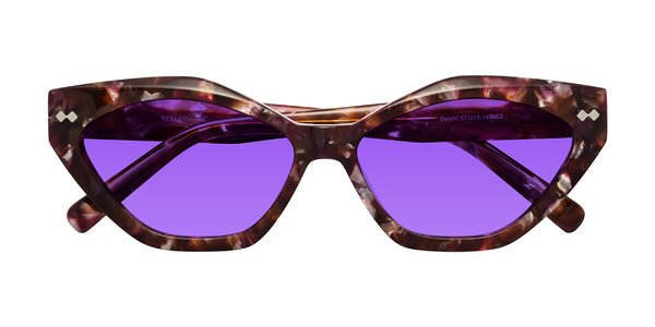 Front of Delphi in Plum Tortoise