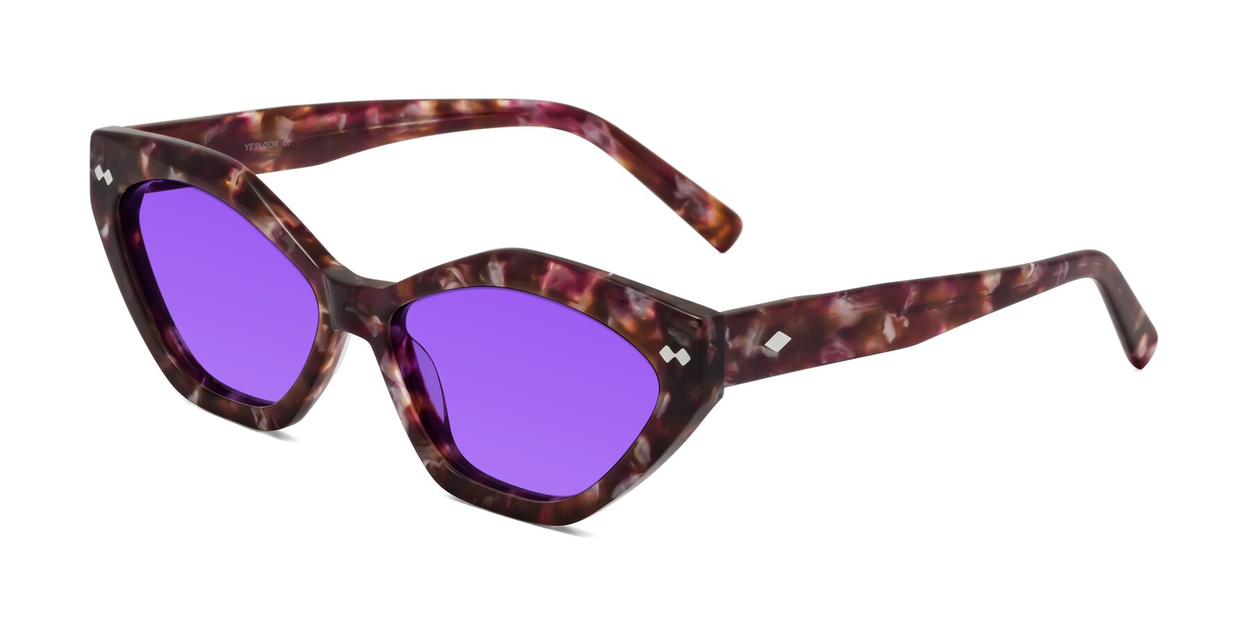 Angle of Delphi in Plum Tortoise with Purple Tinted Lenses