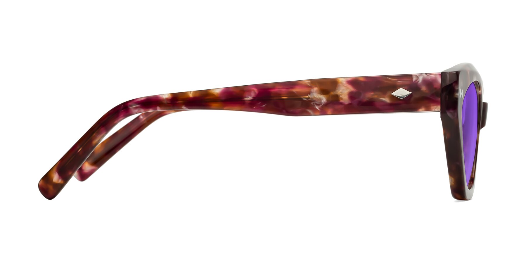 Side of Delphi in Plum Tortoise with Purple Tinted Lenses