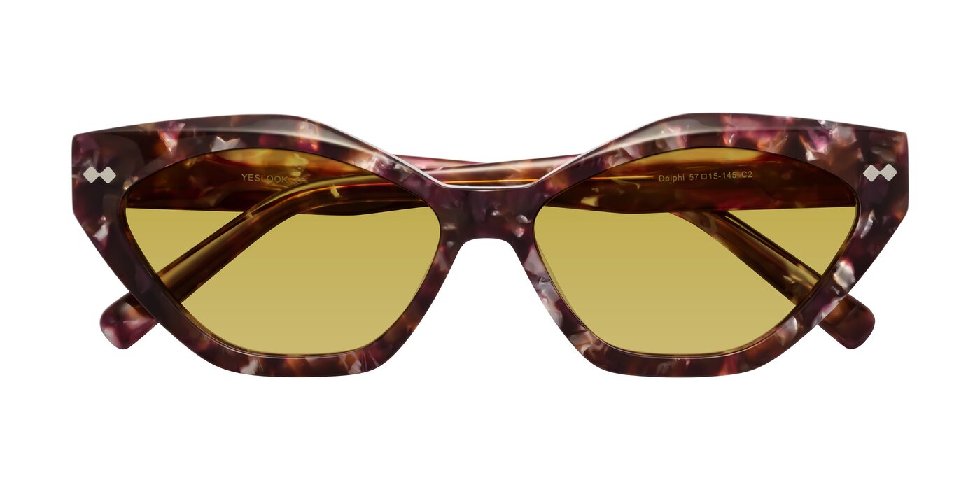 Delphi - Plum Tortoise Tinted Sunglasses