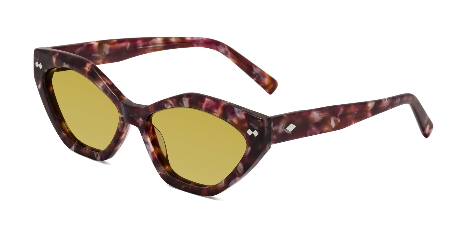 Angle of Delphi in Plum Tortoise with Champagne Tinted Lenses