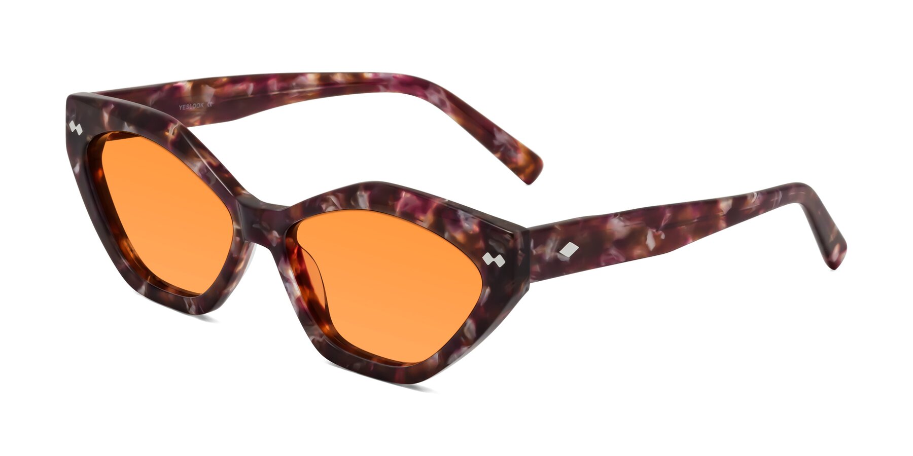 Angle of Delphi in Plum Tortoise with Orange Tinted Lenses