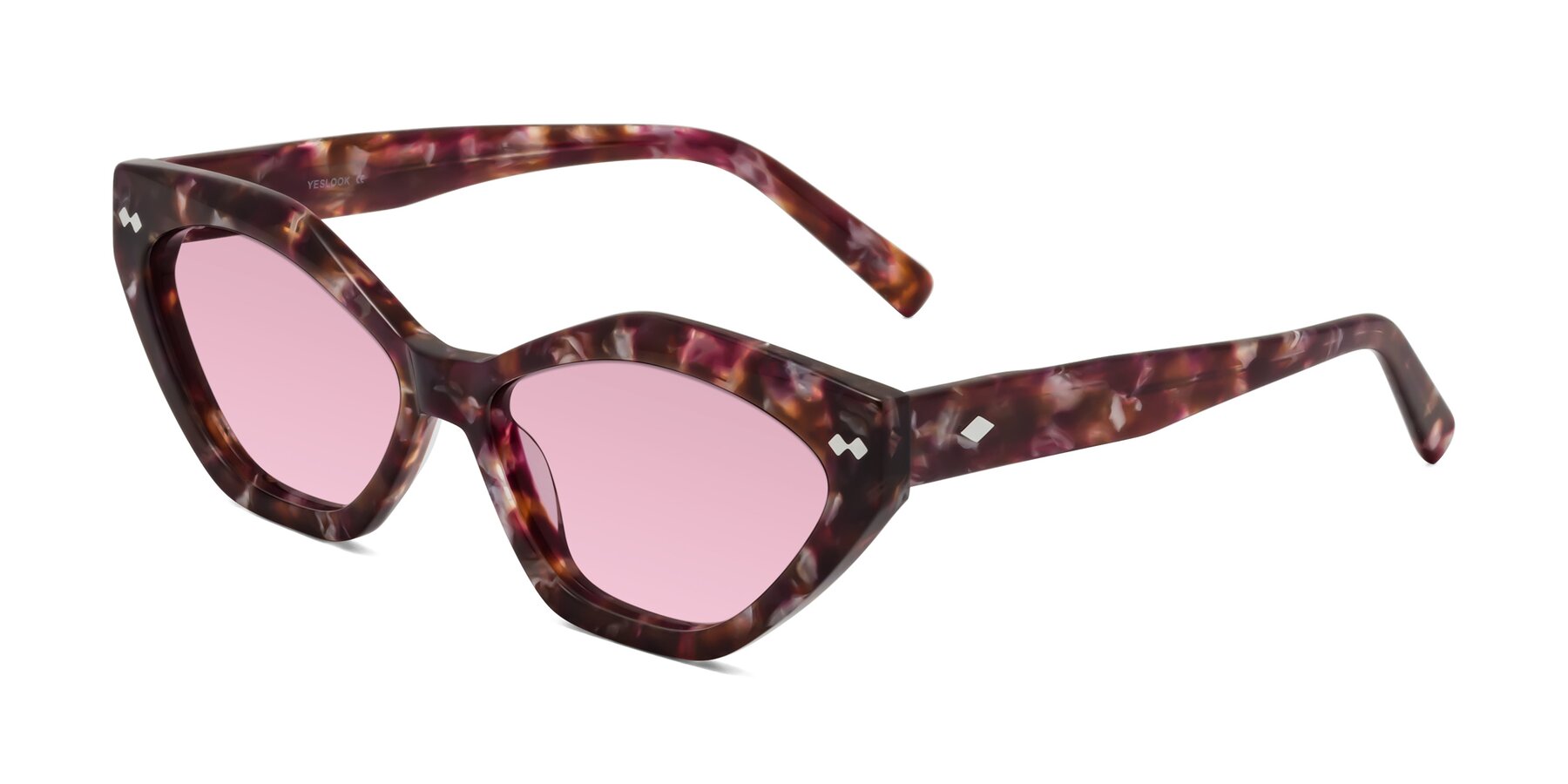 Angle of Delphi in Plum Tortoise with Light Wine Tinted Lenses