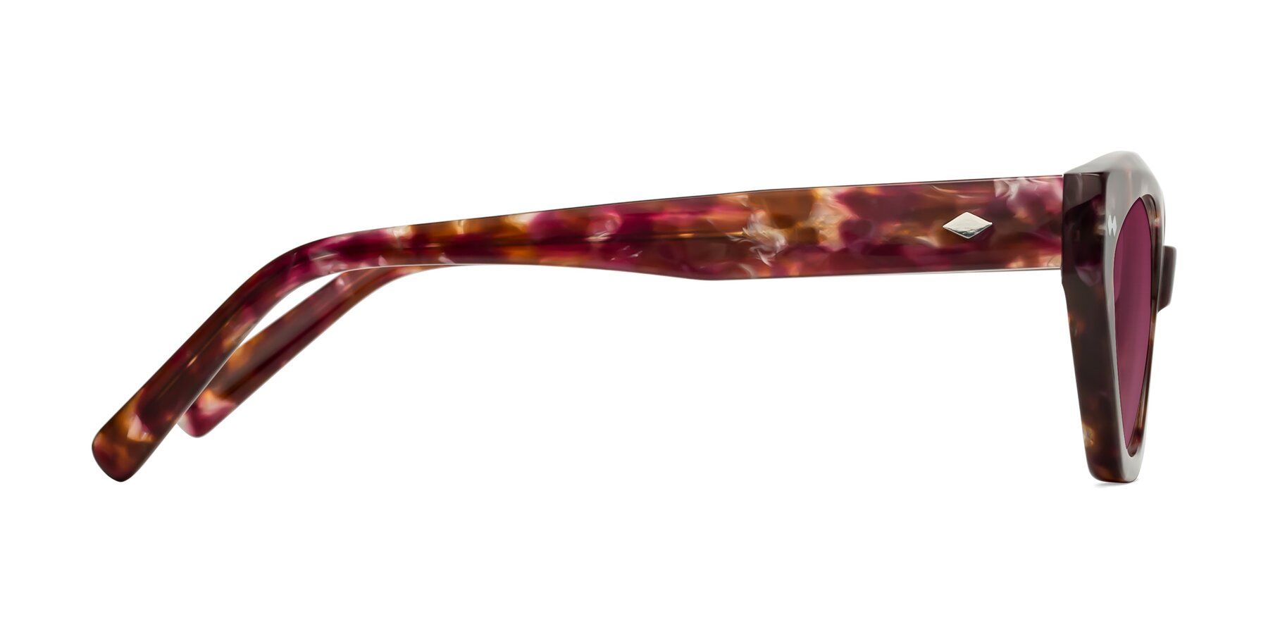 Side of Delphi in Plum Tortoise with Wine Tinted Lenses