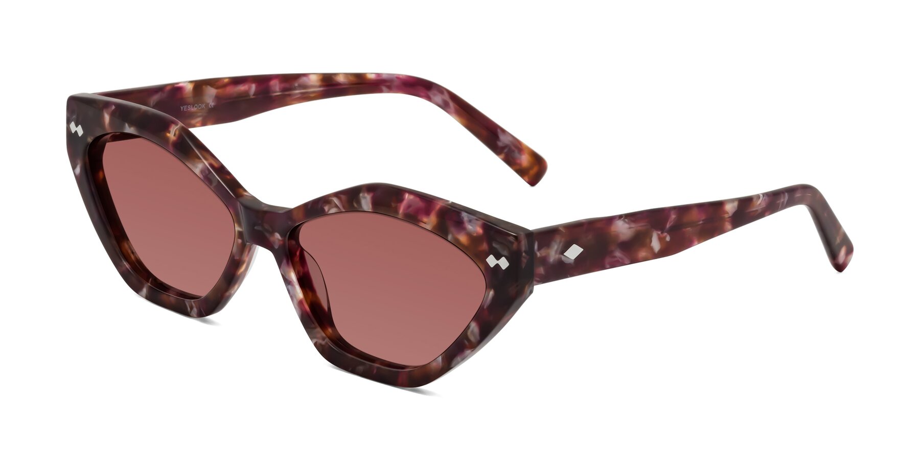 Angle of Delphi in Plum Tortoise with Garnet Tinted Lenses