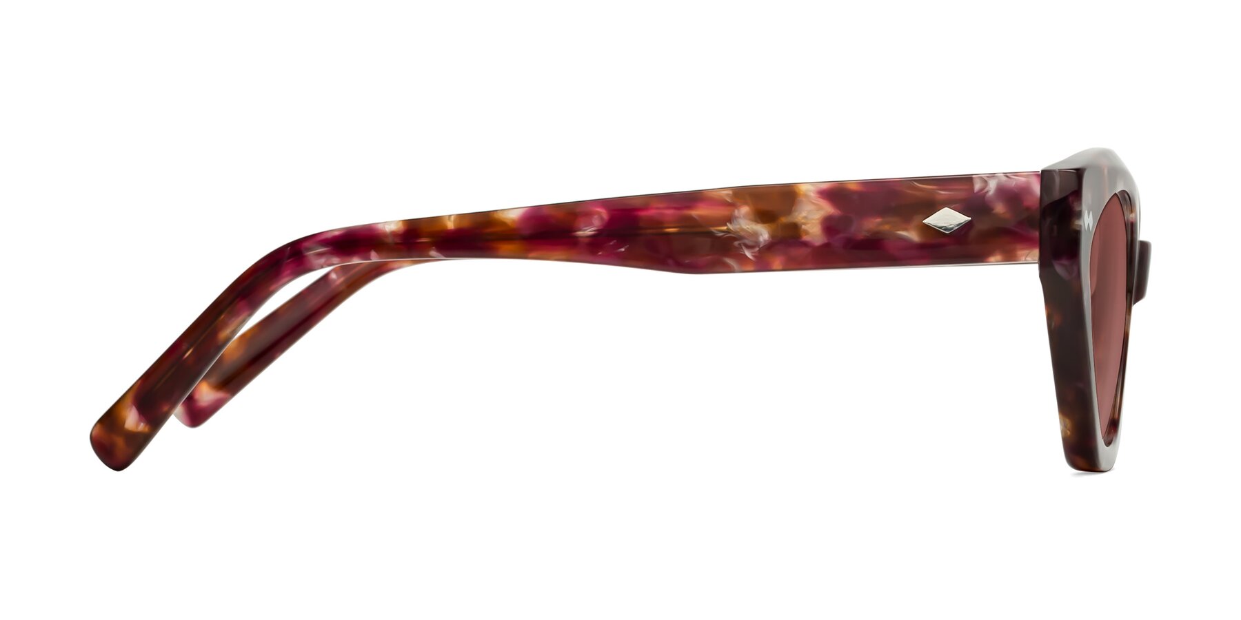 Side of Delphi in Plum Tortoise with Garnet Tinted Lenses