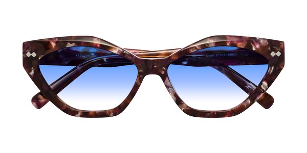 Front of Delphi in Plum Tortoise