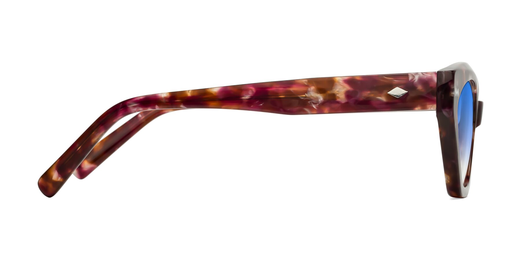 Side of Delphi in Plum Tortoise with Blue Gradient Lenses