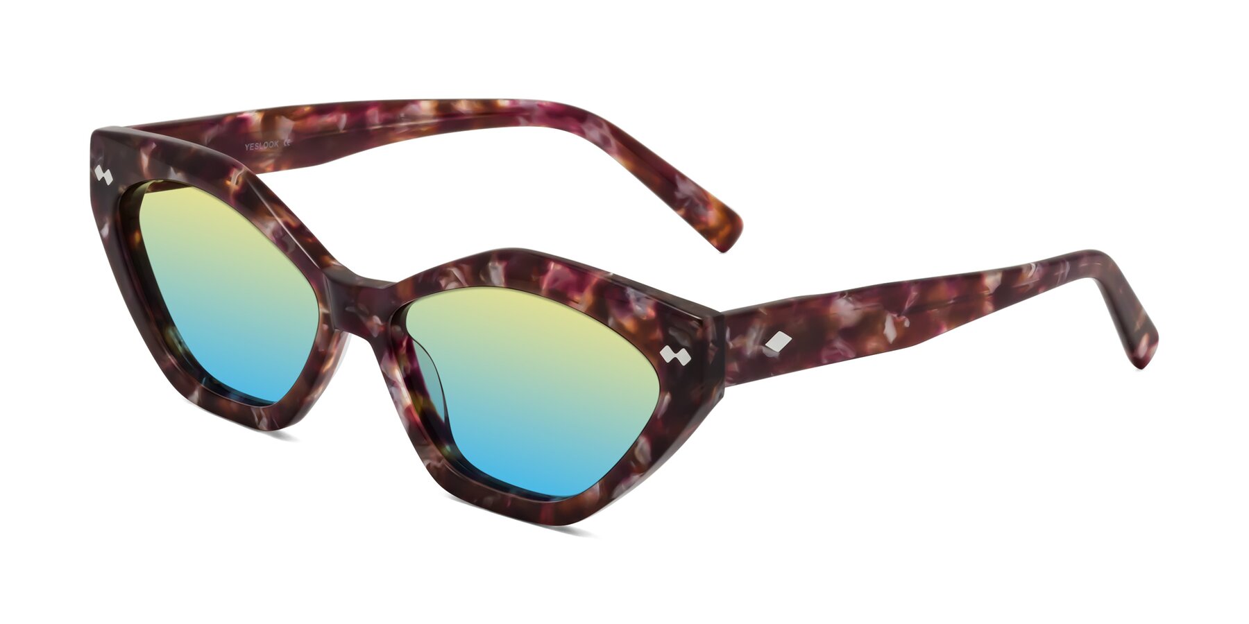 Angle of Delphi in Plum Tortoise with Yellow / Blue Gradient Lenses