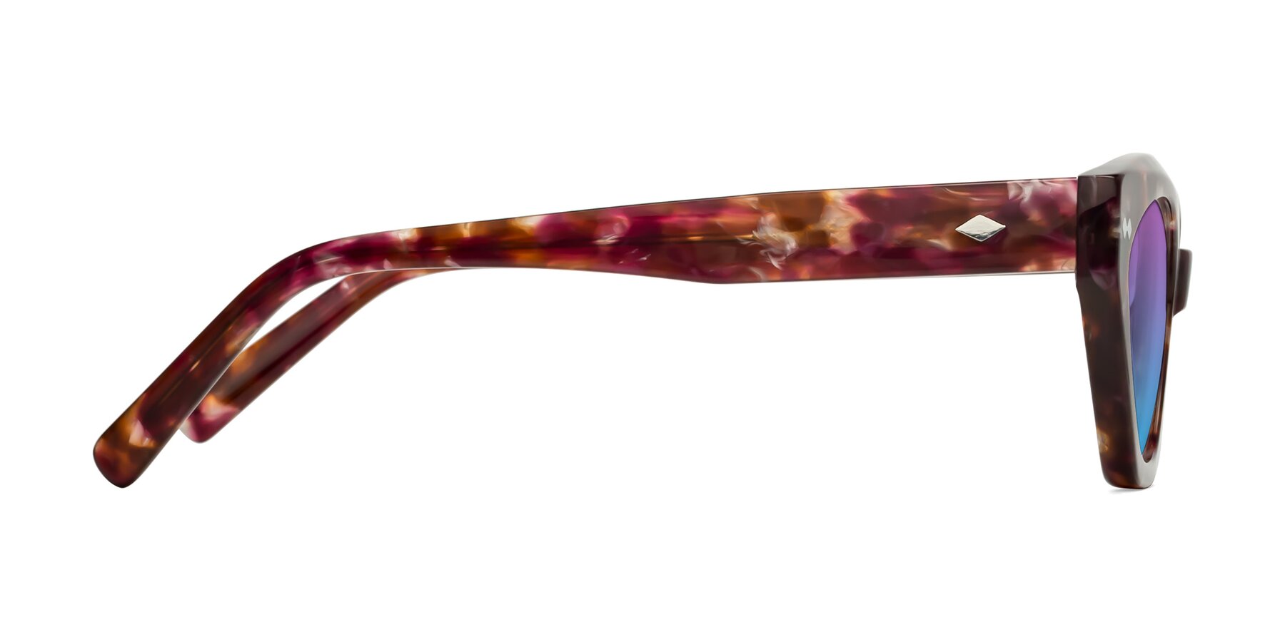 Side of Delphi in Plum Tortoise with Purple / Blue Gradient Lenses