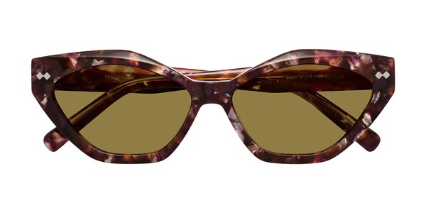 Front of Delphi in Plum Tortoise