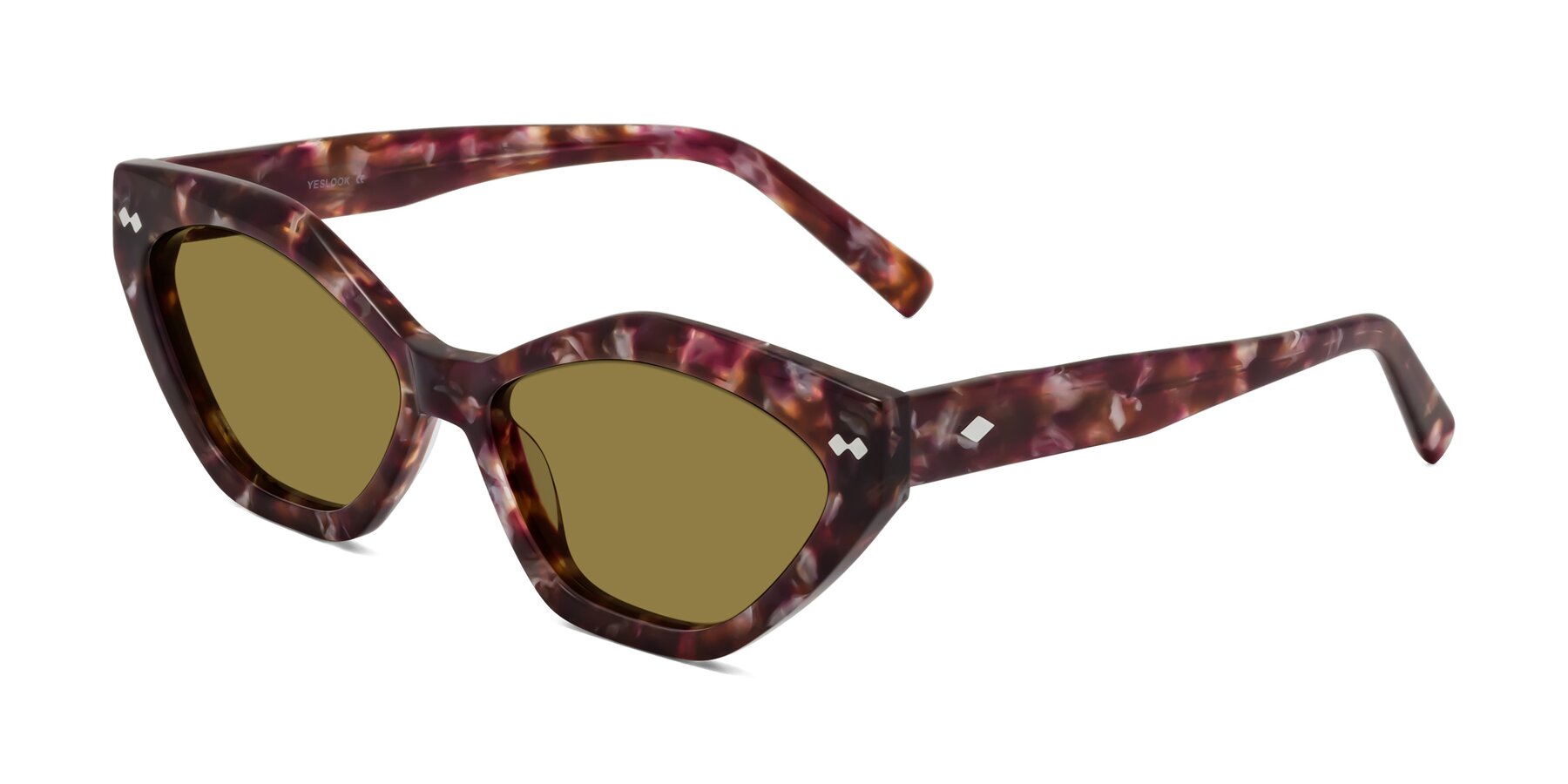 Angle of Delphi in Plum Tortoise with Brown Polarized Lenses