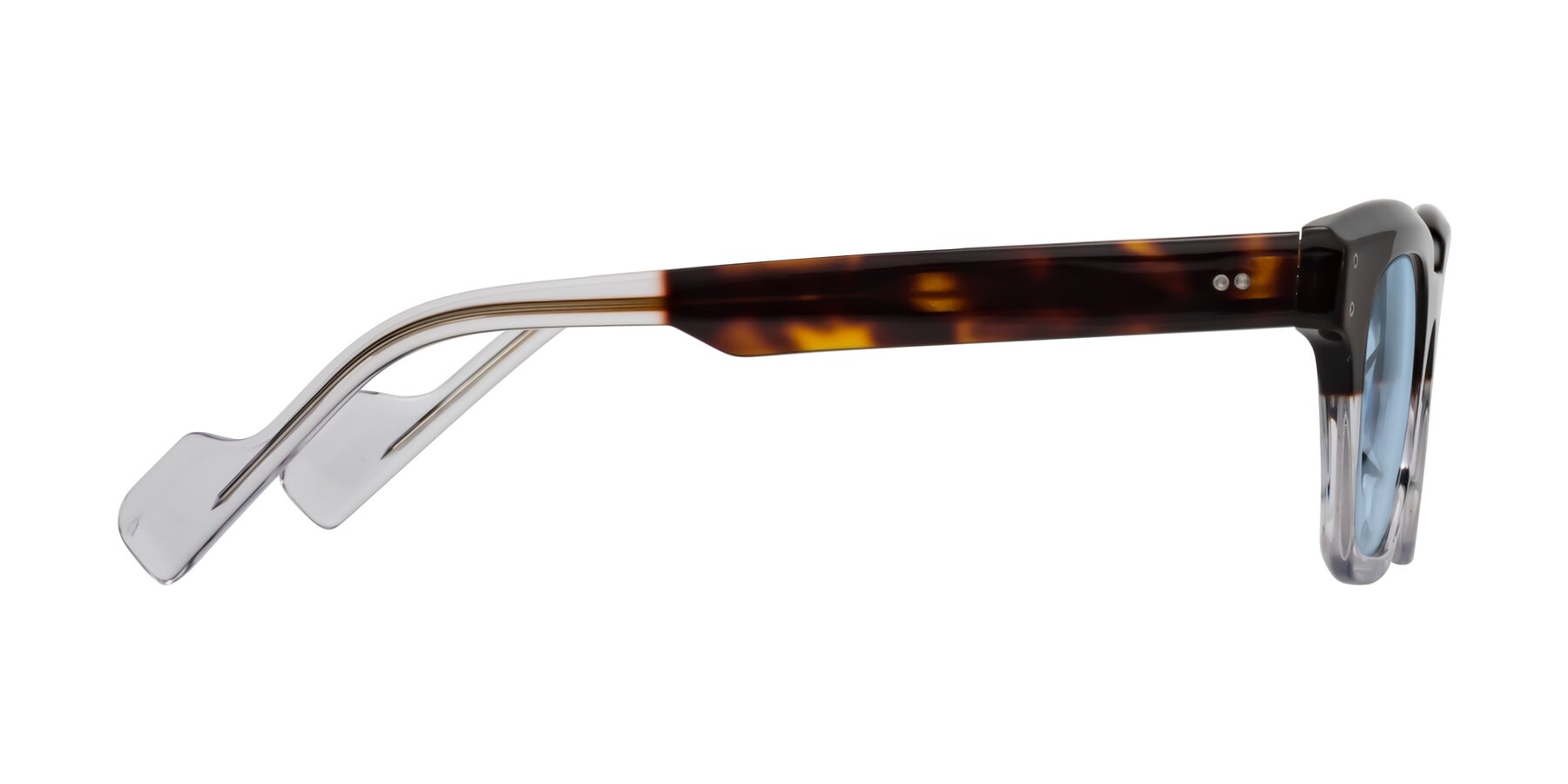 Side of Perez in Dark Tortoise/Clear with Light Blue Tinted Lenses