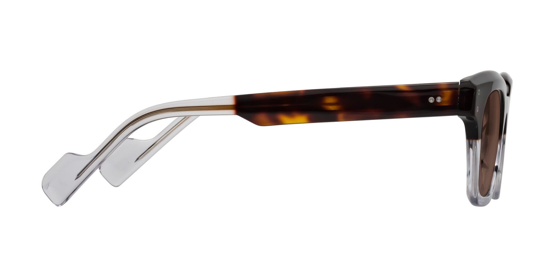 Side of Perez in Dark Tortoise/Clear with Brown Tinted Lenses