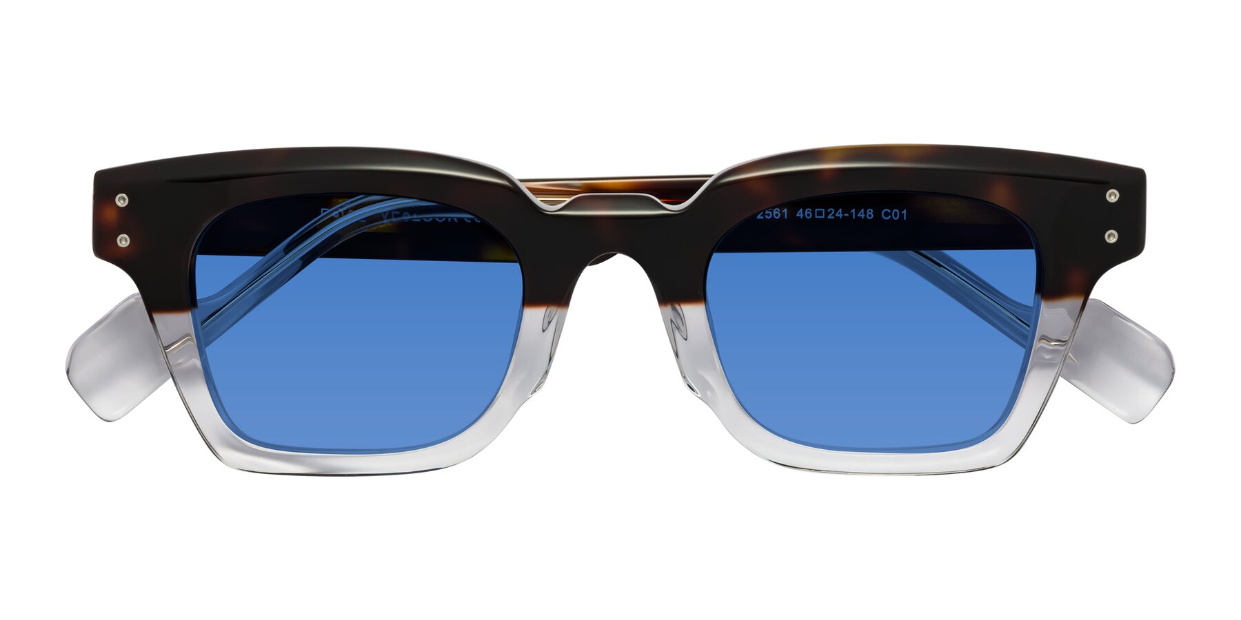 Folded Front of Perez in Dark Tortoise/Clear with Blue Tinted Lenses