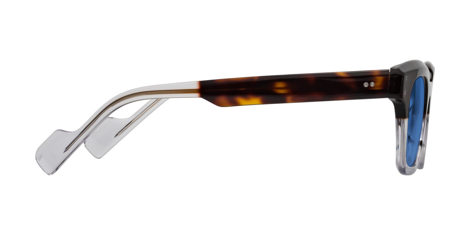 Side of Perez in Dark Tortoise/Clear with Blue Tinted Lenses