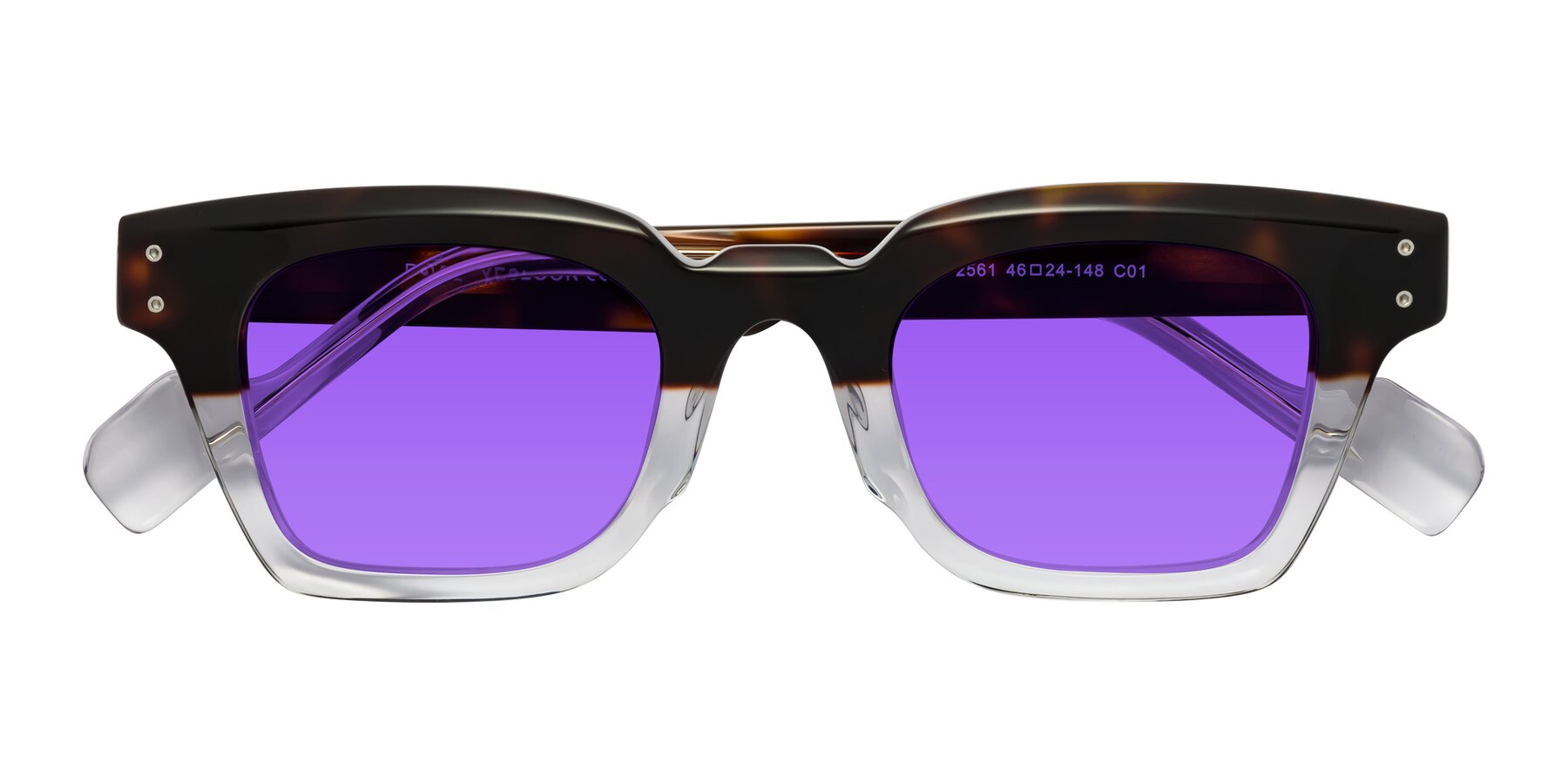 Folded Front of Perez in Dark Tortoise/Clear with Purple Tinted Lenses