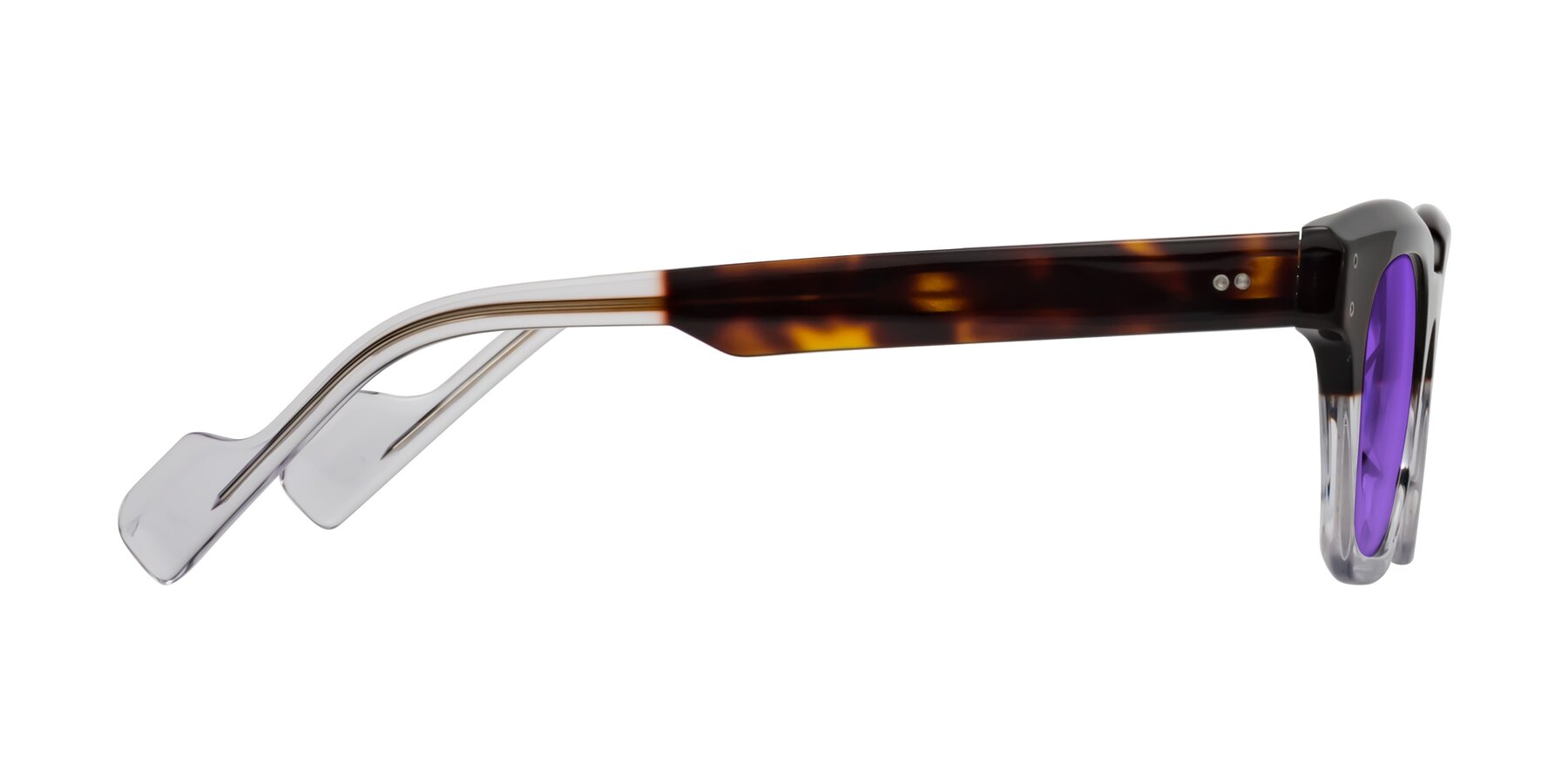 Side of Perez in Dark Tortoise/Clear with Purple Tinted Lenses