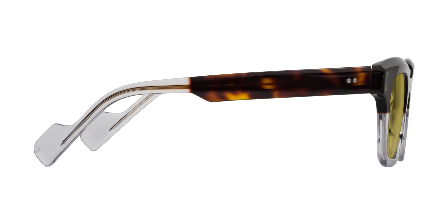 Side of Perez in Dark Tortoise/Clear with Champagne Tinted Lenses