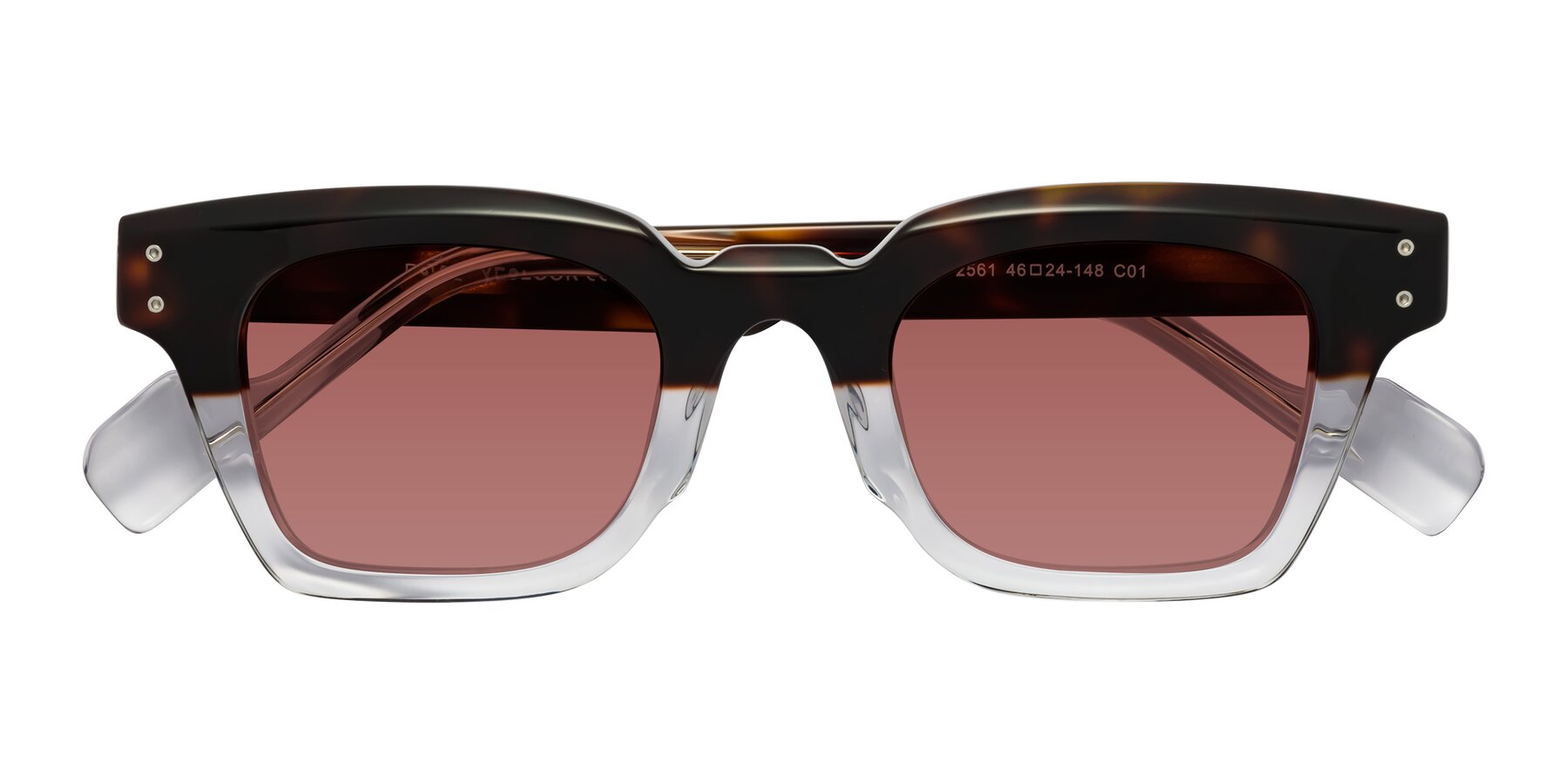 Folded Front of Perez in Dark Tortoise/Clear with Garnet Tinted Lenses