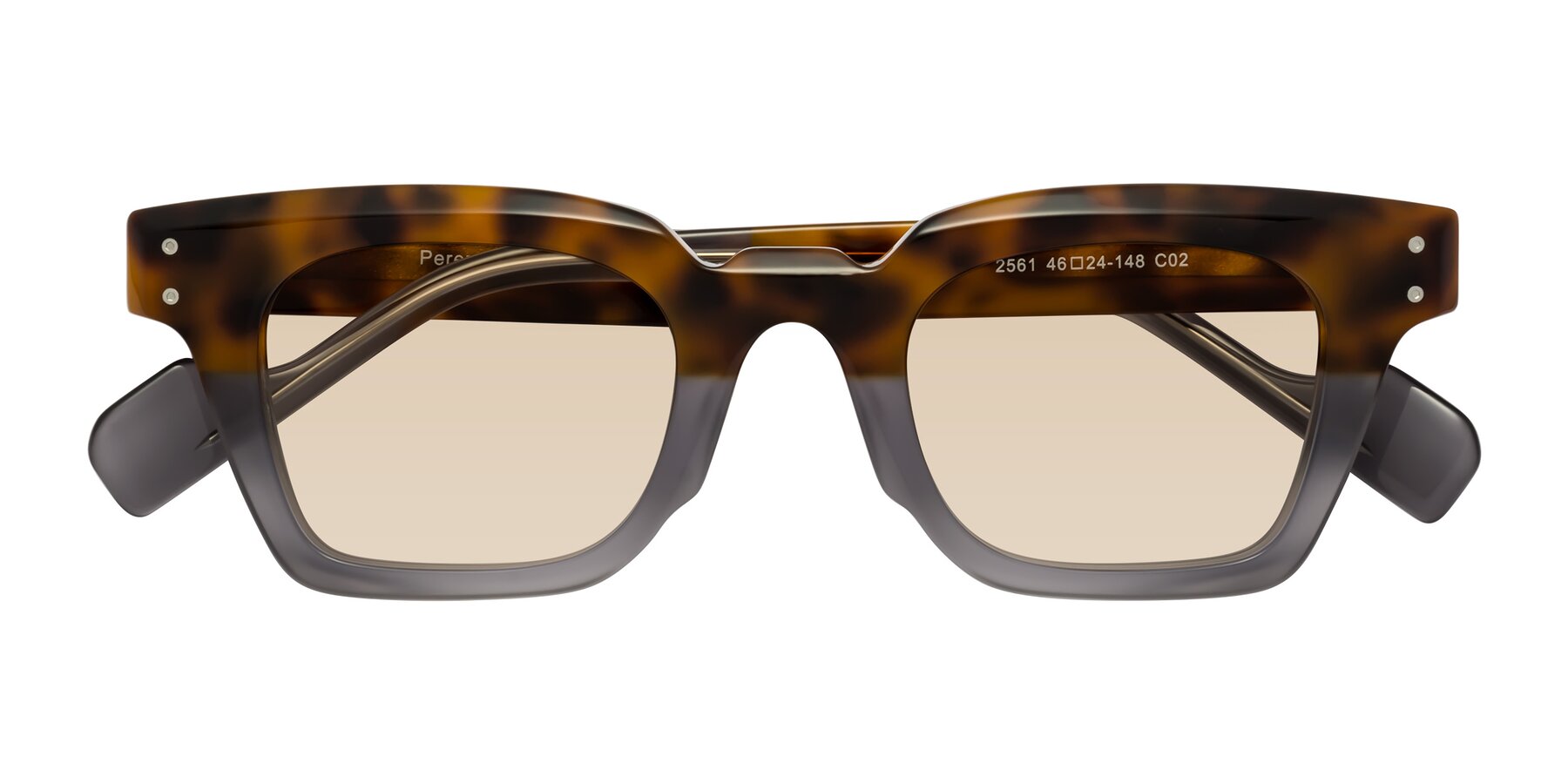 Folded Front of Perez in Tortoise/Gray with Light Brown Tinted Lenses