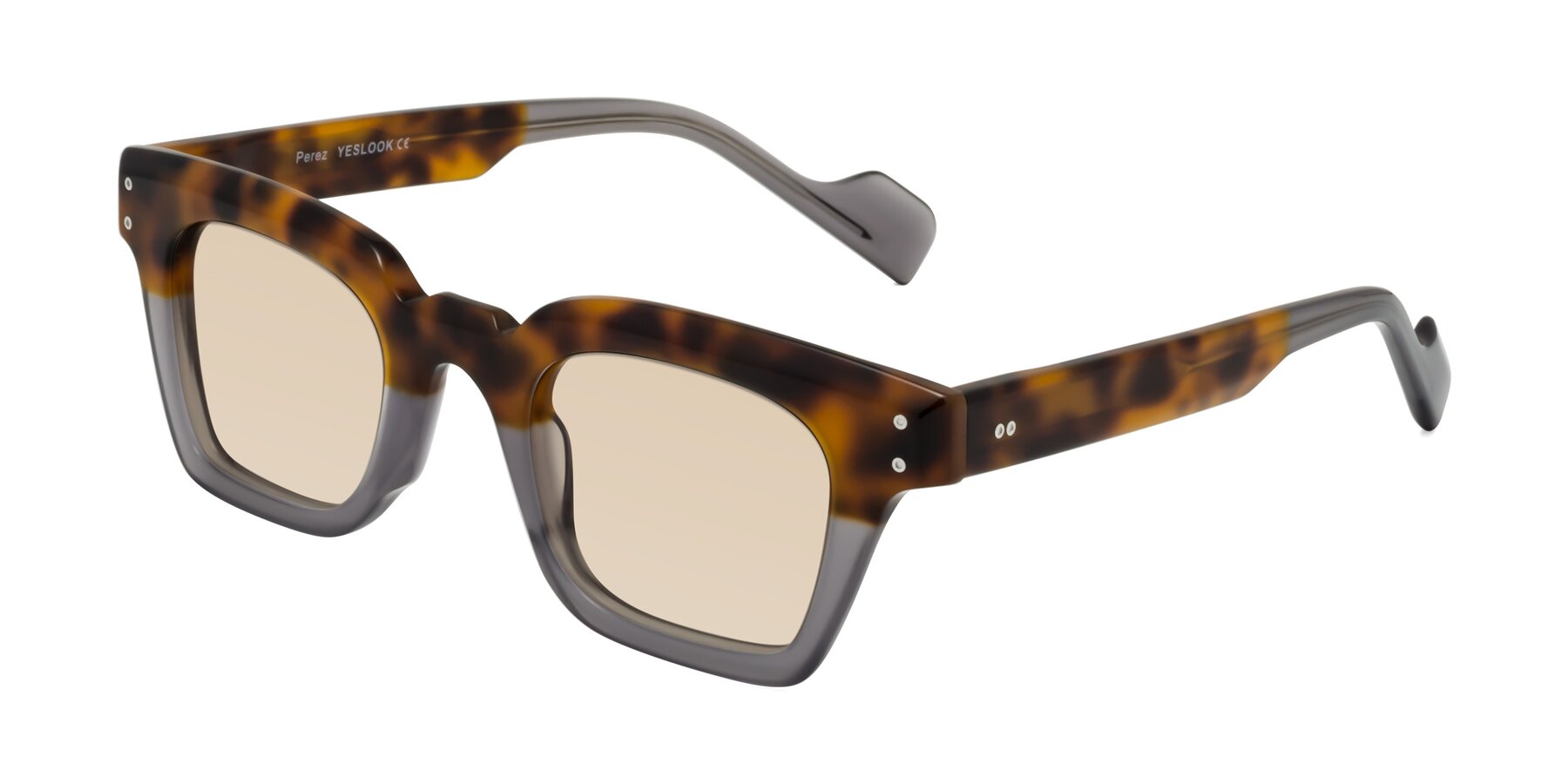 Angle of Perez in Tortoise/Gray with Light Brown Tinted Lenses