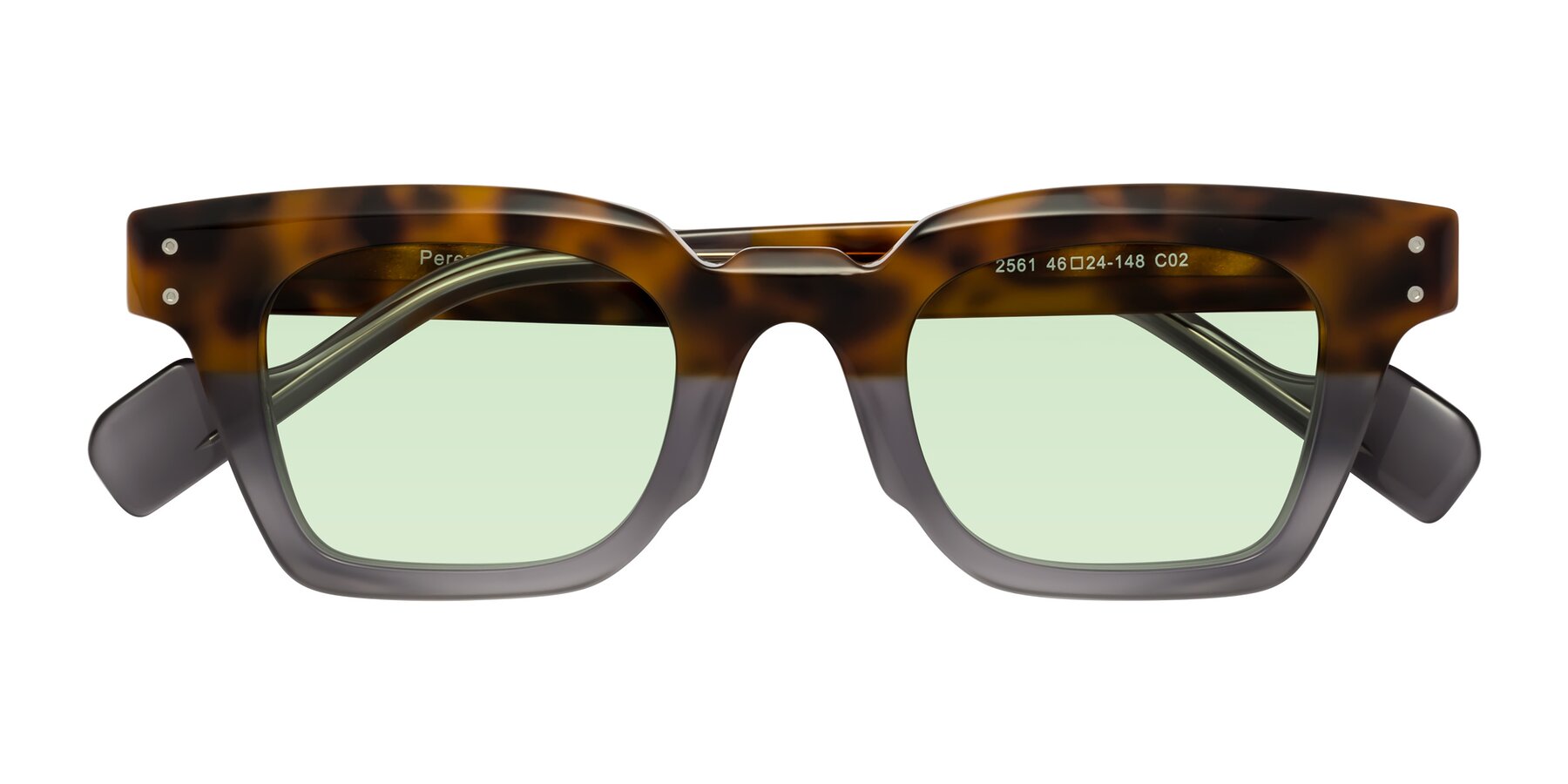 Folded Front of Perez in Tortoise/Gray with Light Green Tinted Lenses