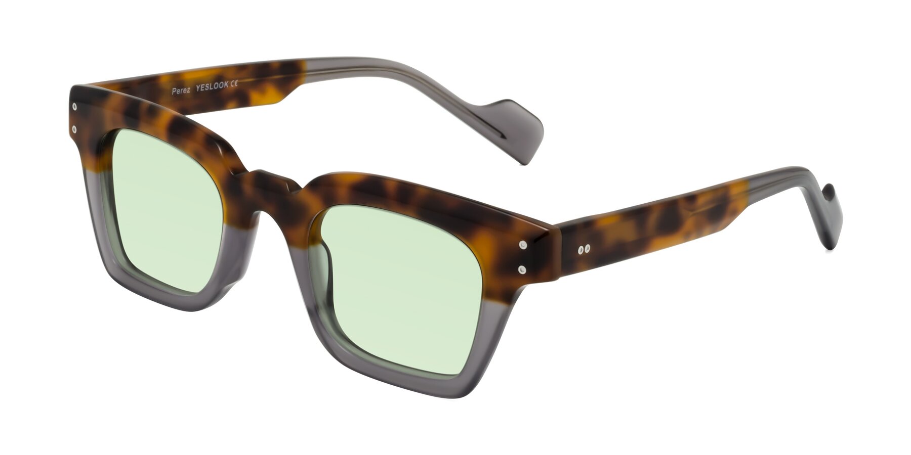 Angle of Perez in Tortoise/Gray with Light Green Tinted Lenses