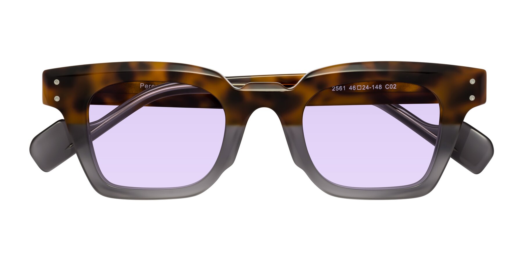 Folded Front of Perez in Tortoise/Gray with Light Purple Tinted Lenses