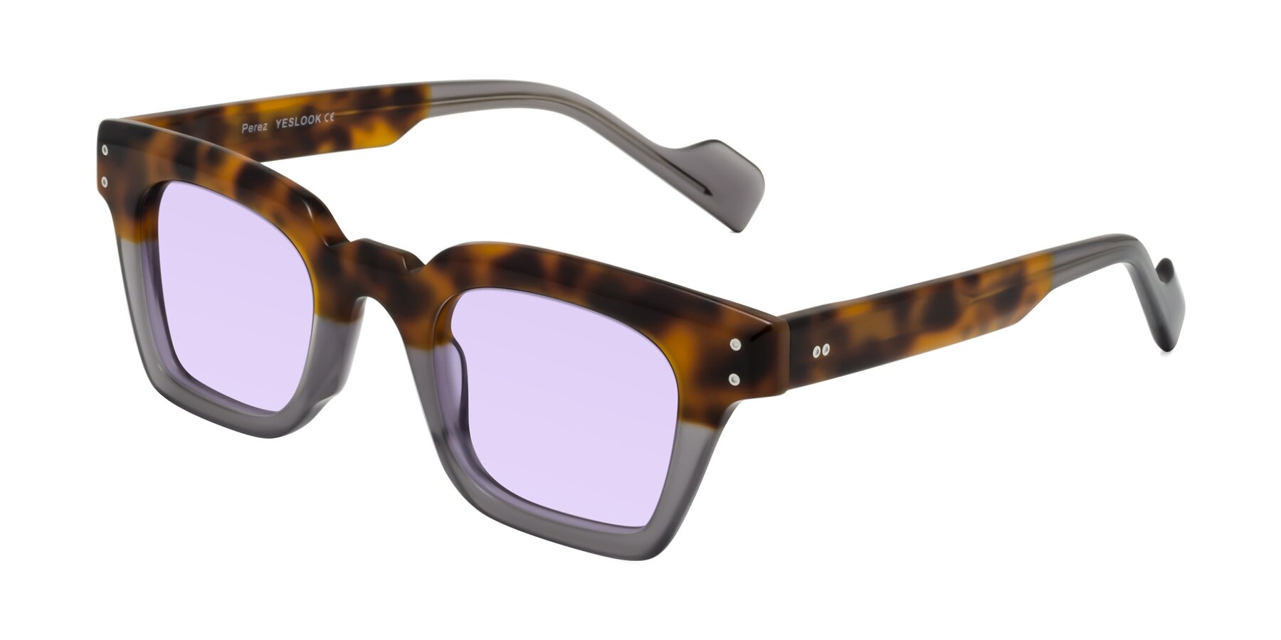Angle of Perez in Tortoise/Gray with Light Purple Tinted Lenses