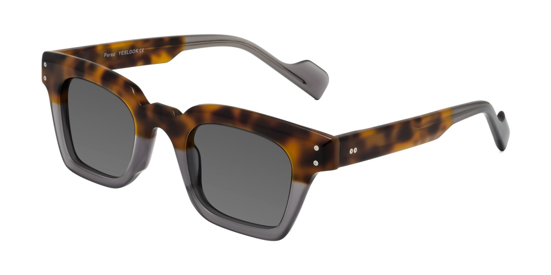 Angle of Perez in Tortoise/Gray with Medium Gray Tinted Lenses