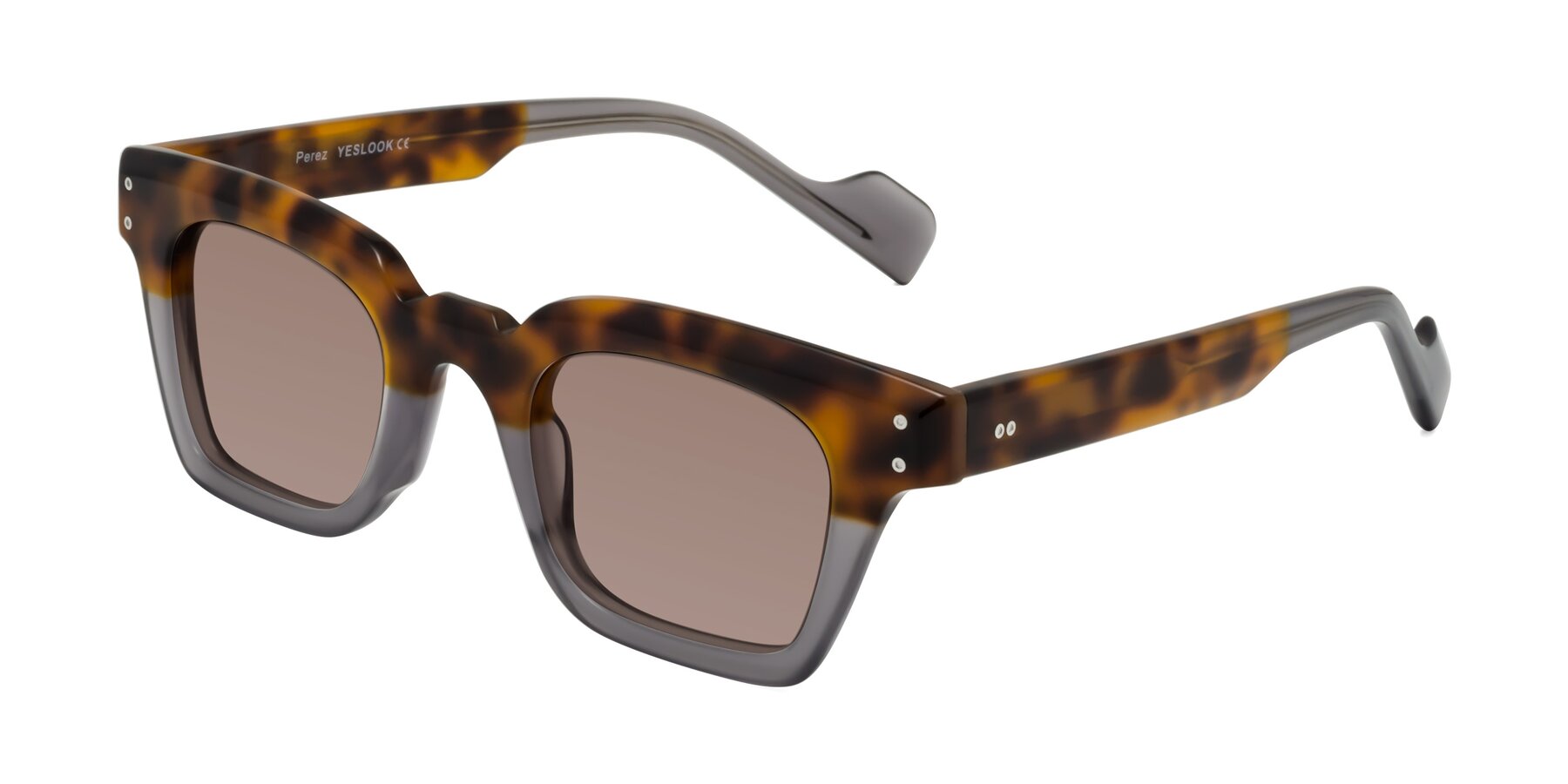 Angle of Perez in Tortoise/Gray with Medium Brown Tinted Lenses