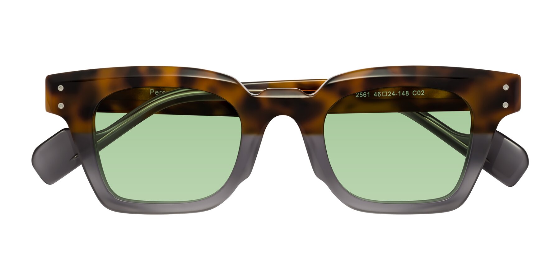 Folded Front of Perez in Tortoise/Gray with Medium Green Tinted Lenses