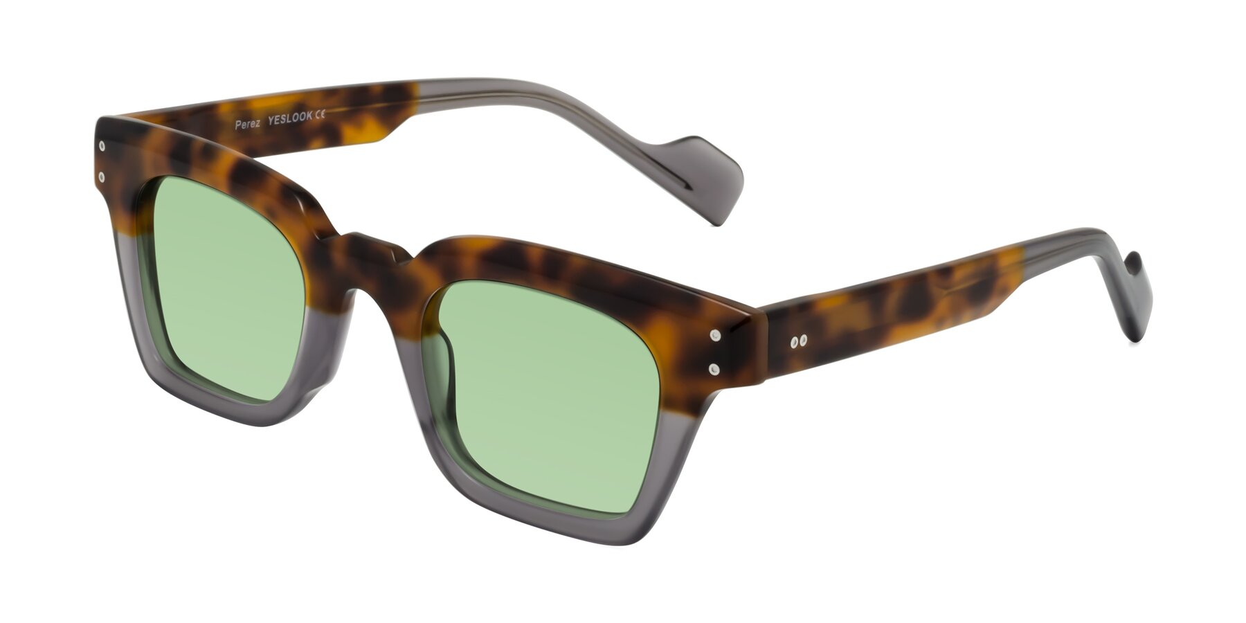 Angle of Perez in Tortoise/Gray with Medium Green Tinted Lenses