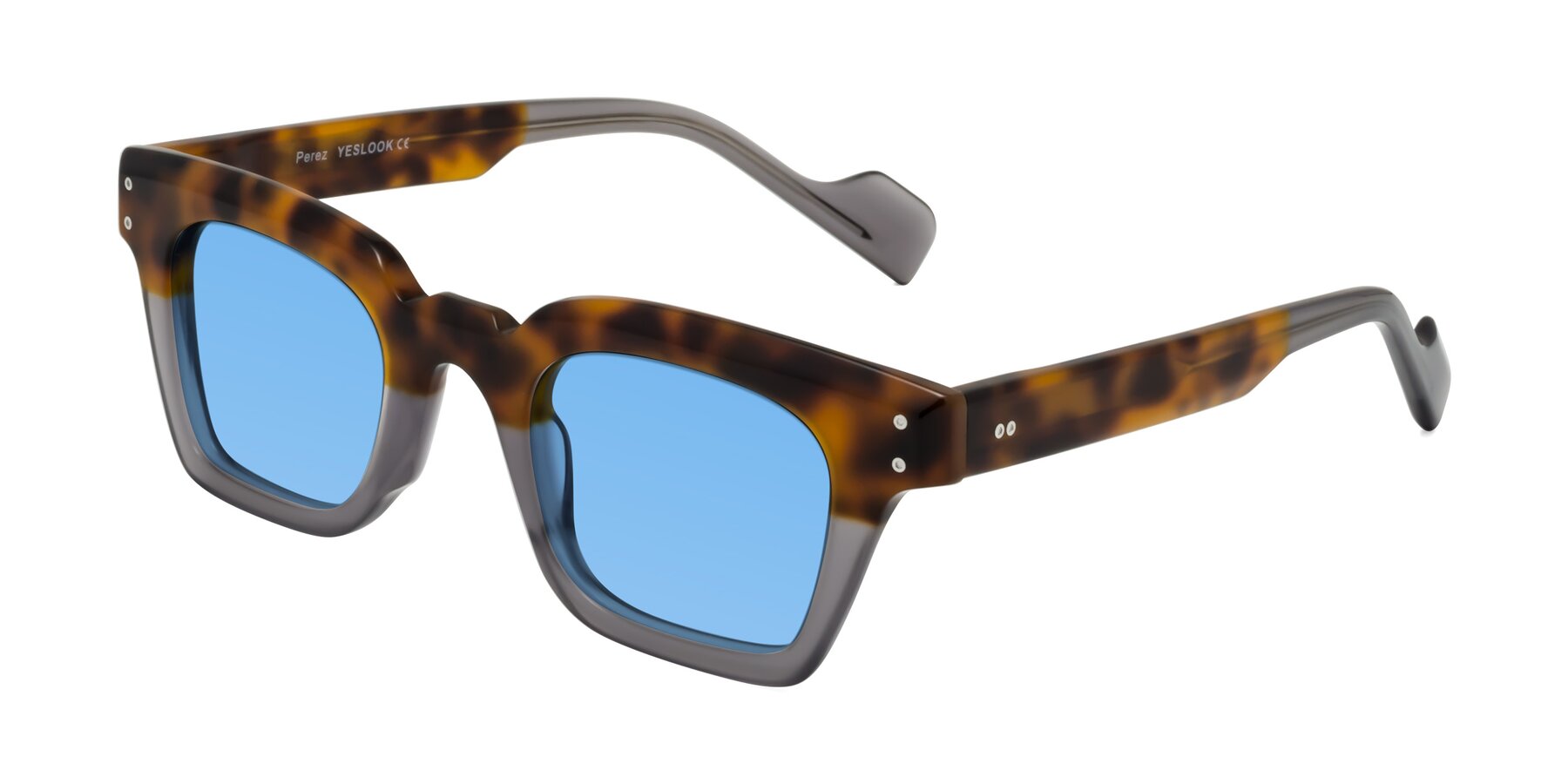 Angle of Perez in Tortoise/Gray with Medium Blue Tinted Lenses