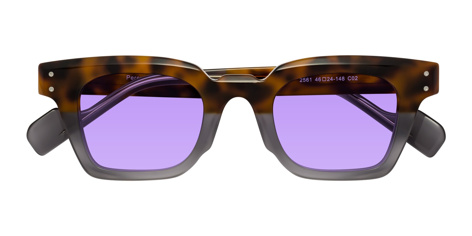 Folded Front of Perez in Tortoise/Gray with Medium Purple Tinted Lenses