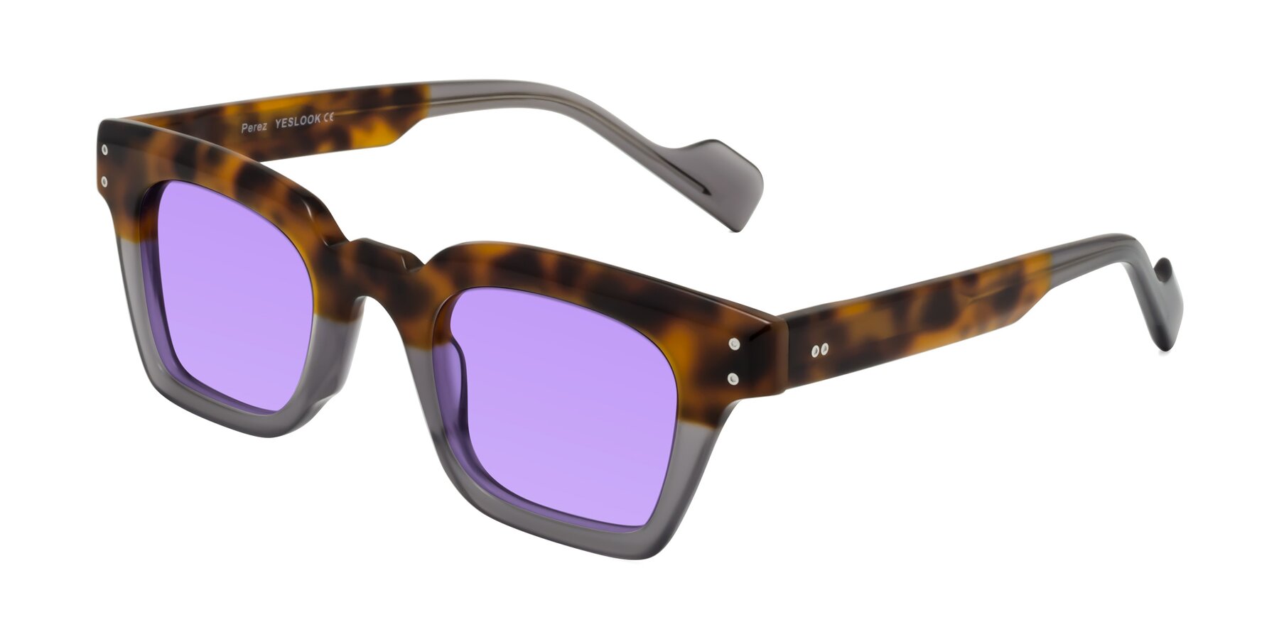Angle of Perez in Tortoise/Gray with Medium Purple Tinted Lenses