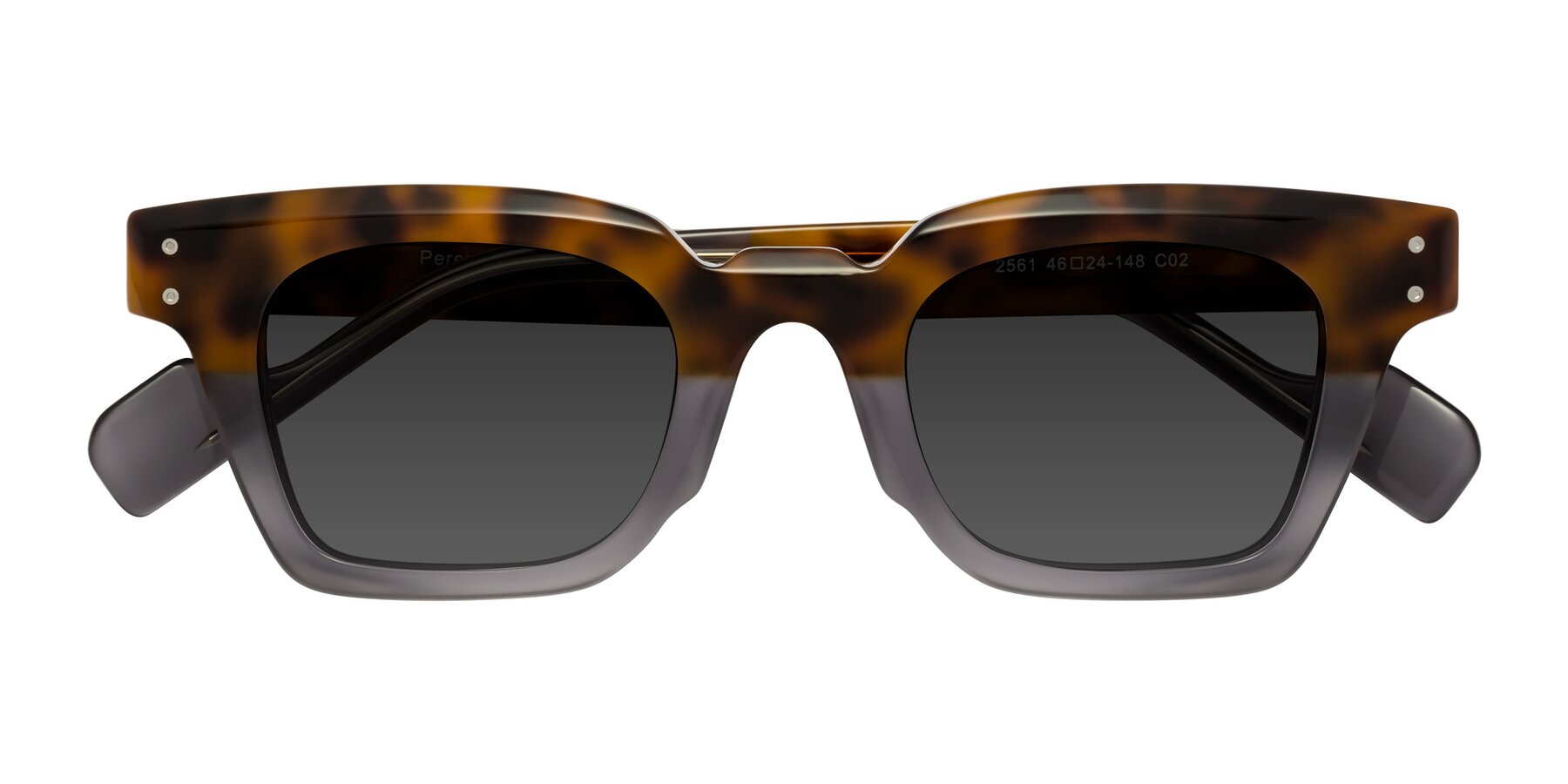 Folded Front of Perez in Tortoise/Gray with Gray Tinted Lenses