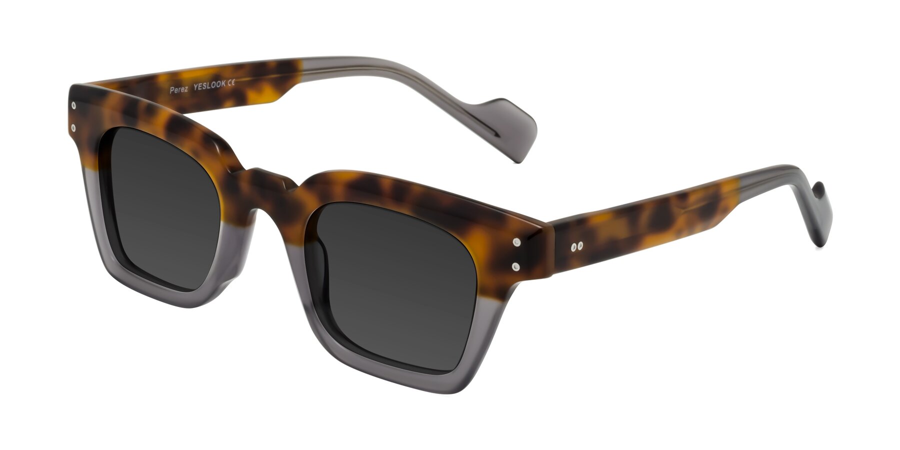 Angle of Perez in Tortoise/Gray with Gray Tinted Lenses
