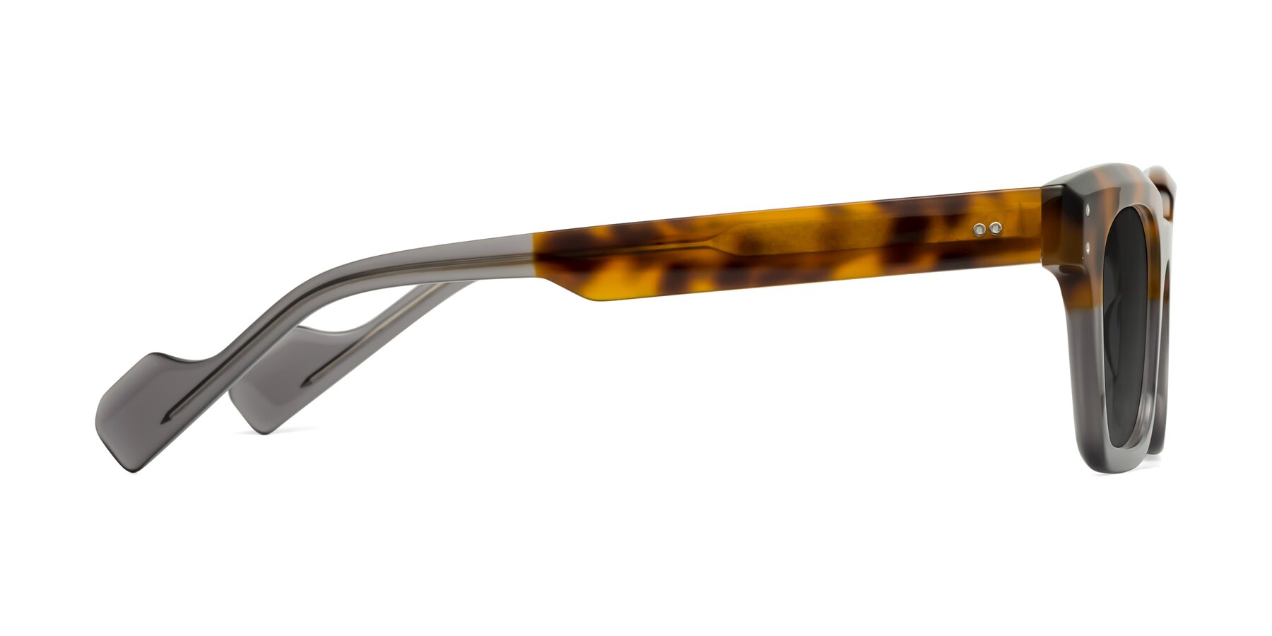 Side of Perez in Tortoise/Gray with Gray Tinted Lenses