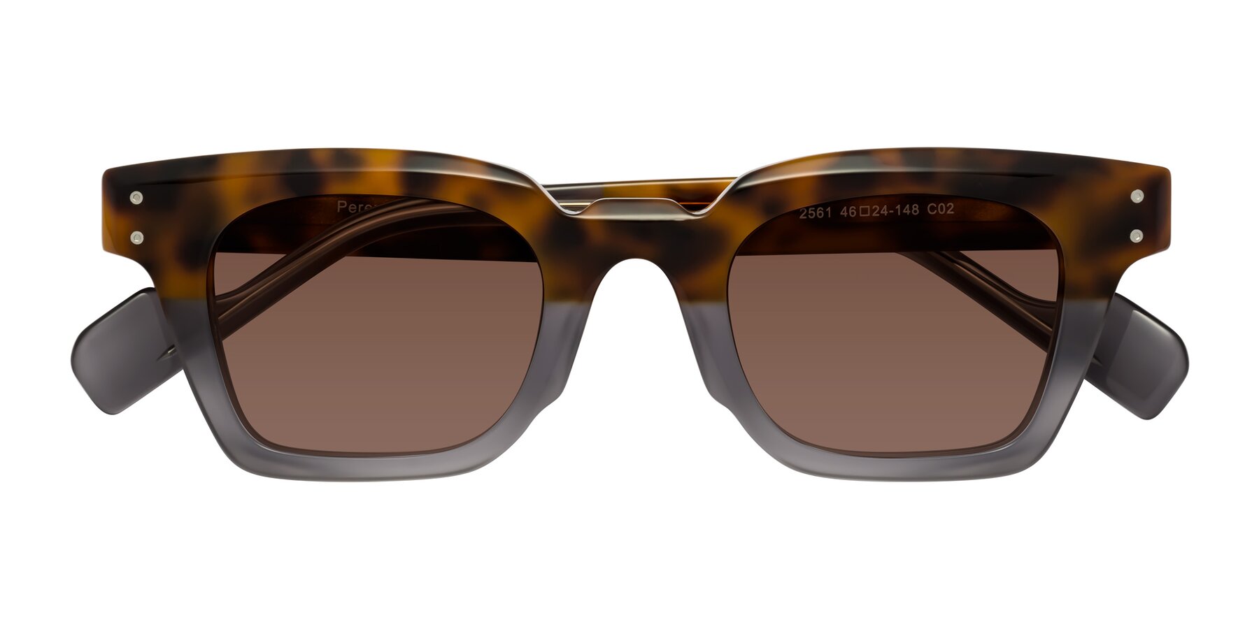 Folded Front of Perez in Tortoise/Gray with Brown Tinted Lenses