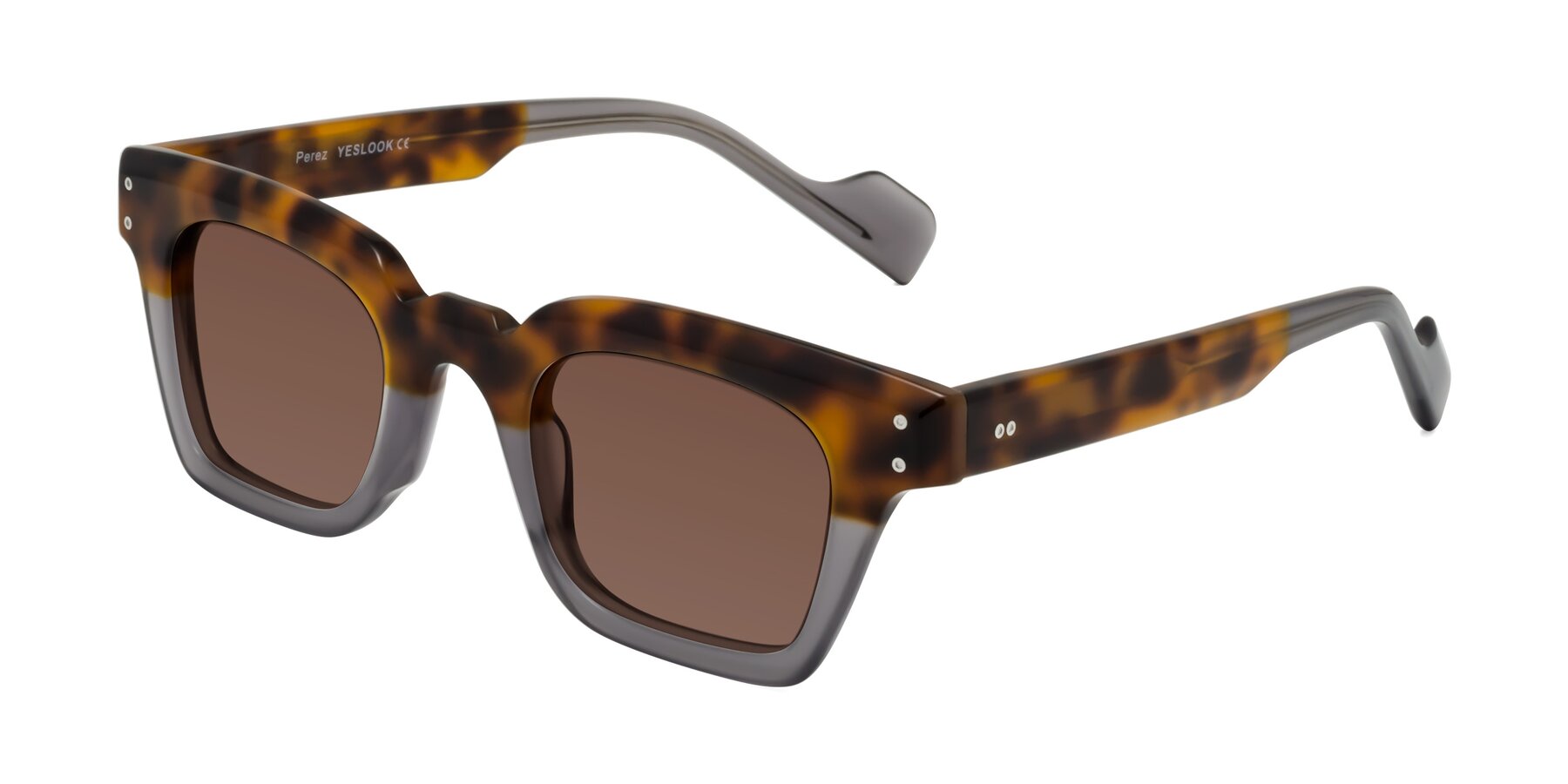 Angle of Perez in Tortoise/Gray with Brown Tinted Lenses