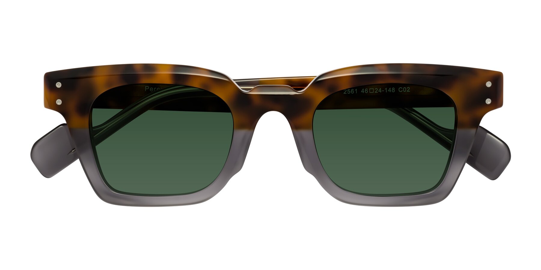 Folded Front of Perez in Tortoise/Gray with Green Tinted Lenses