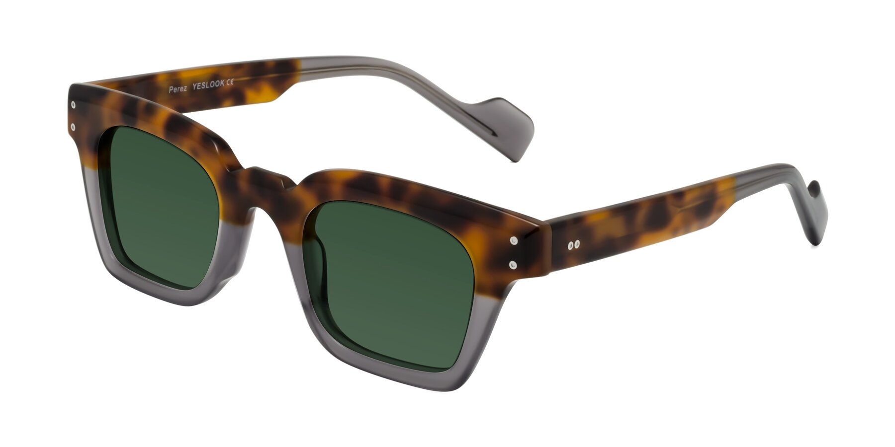 Angle of Perez in Tortoise/Gray with Green Tinted Lenses