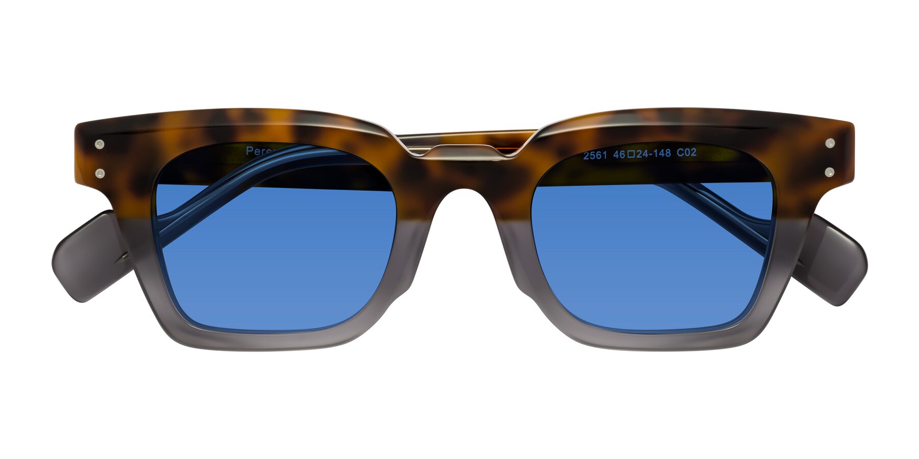 Folded Front of Perez in Tortoise/Gray with Blue Tinted Lenses