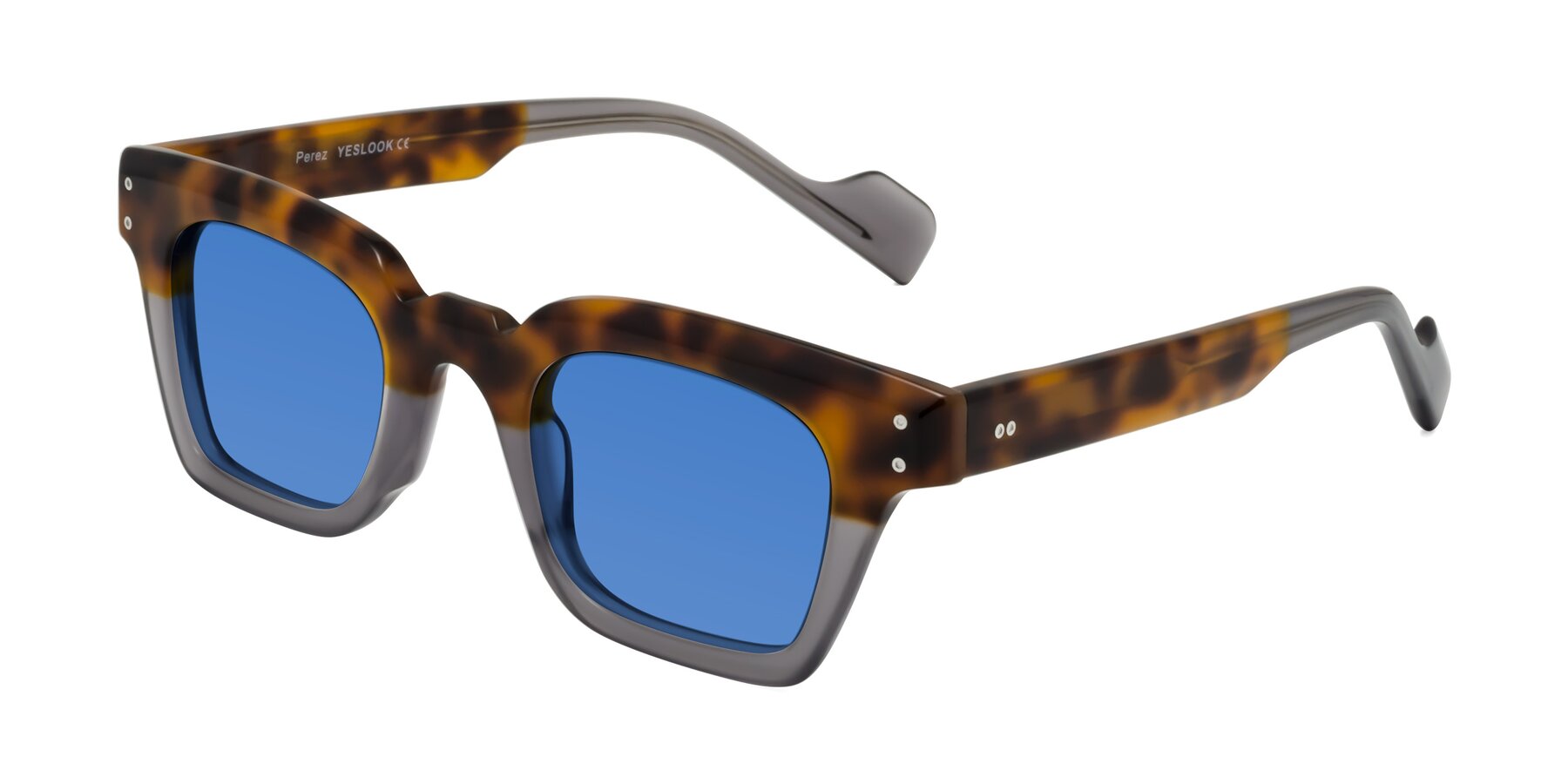 Angle of Perez in Tortoise/Gray with Blue Tinted Lenses