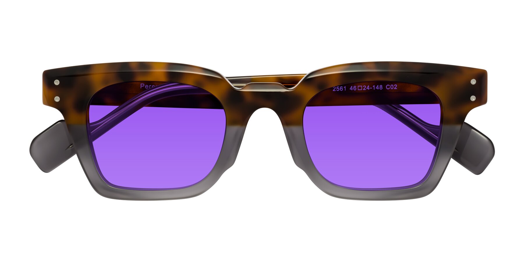 Folded Front of Perez in Tortoise/Gray with Purple Tinted Lenses