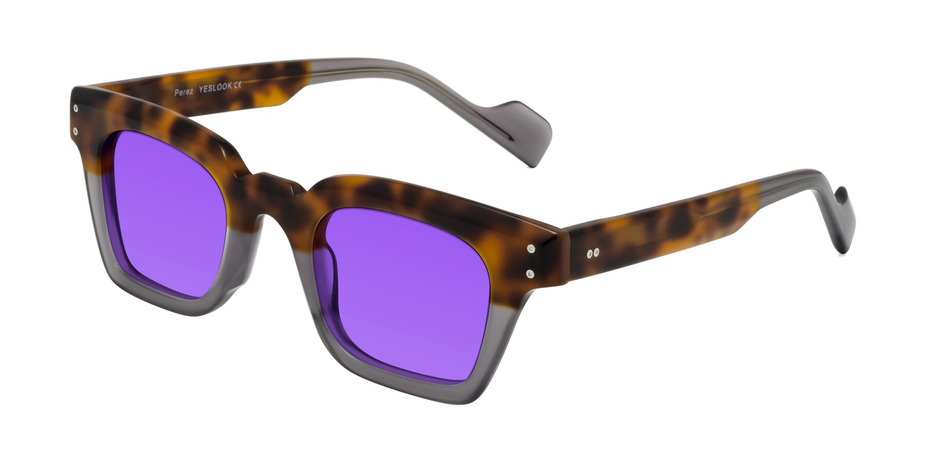 Angle of Perez in Tortoise/Gray with Purple Tinted Lenses